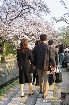 Asie, Japon, Kyoto, Chemin de la Philosophie, Hanami, Souvenirs de Voyages, Pixanne Photographies