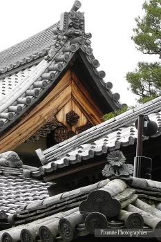 Asie, Japon, Kyoto, Daisen In, Daitoku Ji, Souvenirs de Voyages, Pixanne Photographies