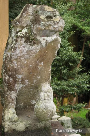 Asie, Japon, Kyoto, Daisen In, Komainu, Karachichi, Souvenirs de Voyages, Pixanne Photographies