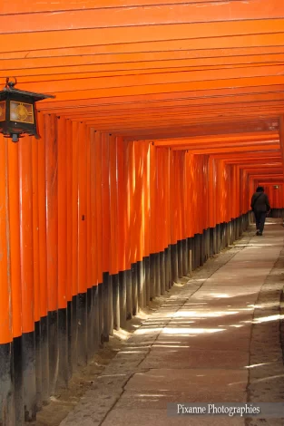 Asie, Japon, Kyoto, Fushimi Inari, Torii, Souvenirs de Voyages, Pixanne Photographies