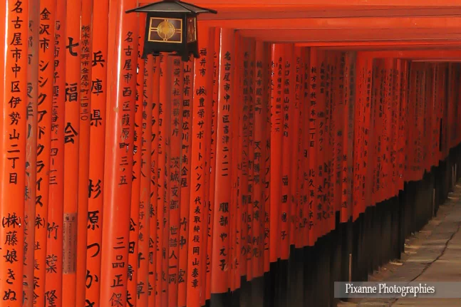 Asie, Japon, Kyoto, Fushimi Inari, Torii, Souvenirs de Voyages, Pixanne Photographies