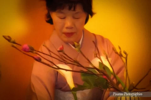 Asie, Japon, Kyoto, Gion Corner, Ikebana, Souvenirs de Voyages, Pixanne Photographies