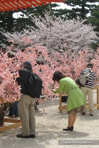Asie, Japon, Kyoto, Heian Shrine, Omikuji, Souvenirs de voyages, Pixanne Photographies