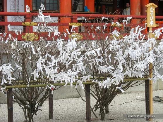 Asie, Japon, Kyoto, Heian Shrine, Heian Jingu Shrine, Souvenirs de Voyages, Omikuji, Pixanne Photographies