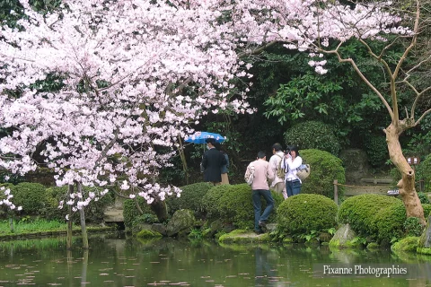 Asie, Japon, Kyoto, Heian Jingu Shrine, Jardin Occidental, Nishi Shin'en, Souvenirs de Voyages, Pixanne Photographies