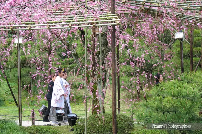 Asie, Japon, Kyoto, Heian Jingu Shrine, Mariage, Souvenirs de Voyages, Pixanne Photographies