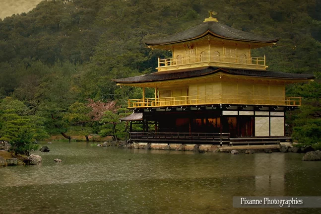 Asie, Japon, Kyoto, Pavillo d'Or, Kinkaku Ji, Souvenirs de Voyages, Pixanne Photographies