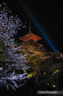 Asie, Japon, Kyoto, Kiyomizu Dera, Hanami, Souvenirs de Voyages, Pixanne Photographies