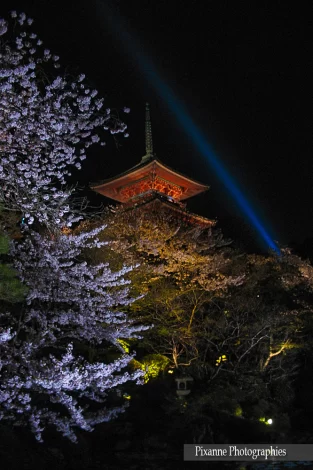 Asie, Japon, Kyoto, Kiyomizu Dera, Hanami, Souvenirs de Voyages, Pixanne Photographies