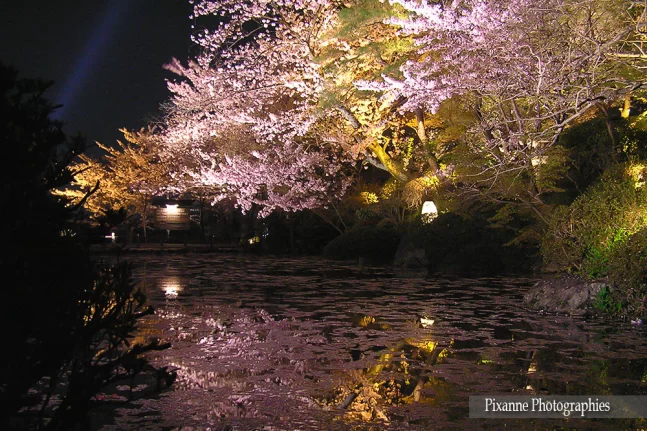 Asie, Japon, Kiyomizu Dera, Hanami, Souvenirs de Voyages, Pixanne Photographies