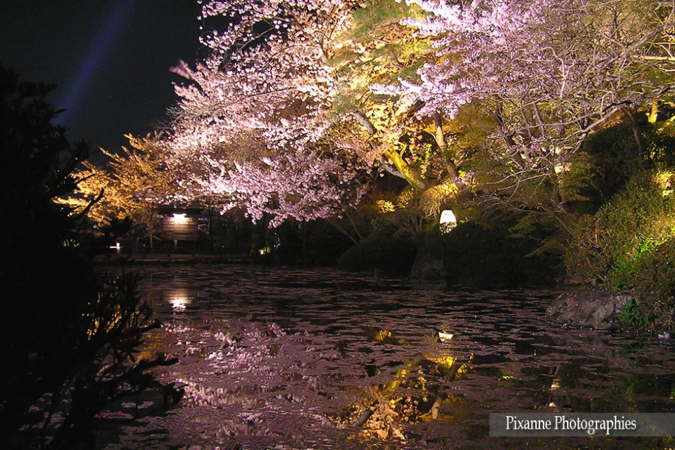 Asie, Japon, Kiyomizu Dera, Hanami, Souvenirs de Voyages, Pixanne Photographies