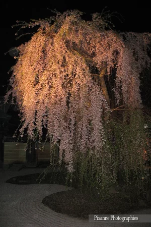 Asie, Japon, Kyoto, Kodai Ji, Souvenirs de Voyages, Pixanne Photographies