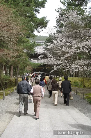 Asie, Japon, Kyoto, Nanzen Ji, Souvenirs de Voyages, Pixanne Photographies