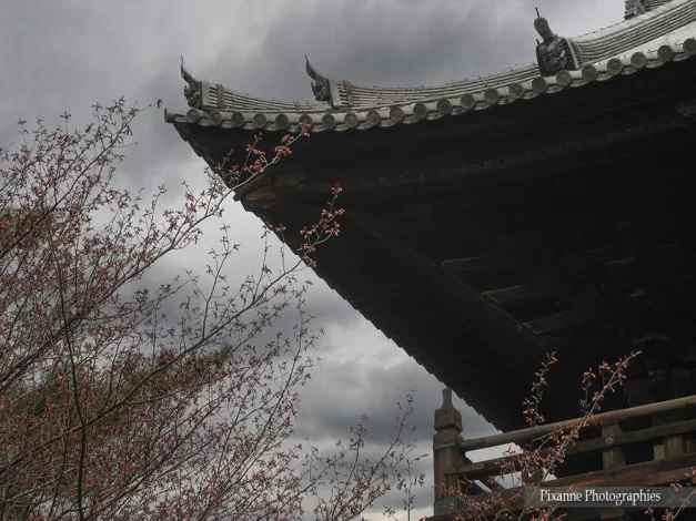 Asie, Japon, Kyoto, Nanzen Ji, Souvenirs de Voyages, Pixanne Photographies