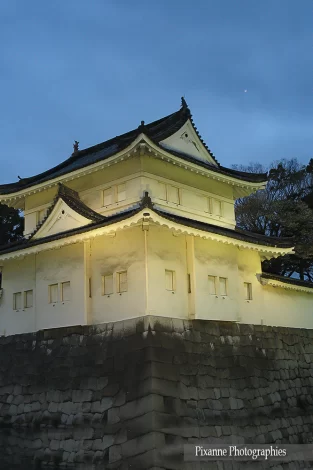 Asie, Japon, Kyoto, Nijo Jo, Souvenirs de Voyages, Pixanne Photographies