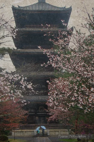 Asie, Japon, Kyoto, Ninna Ji, Pagode, Souvenirs de Voyages, Pixanne Photographies