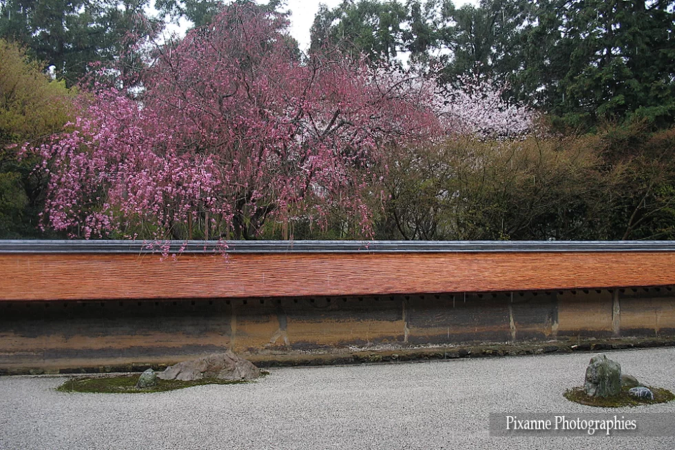 Asie, Japon, Kyoto, Ryoan Ji, Jardin Zen, Souvenirs de Voyages, Pixanne Photographies