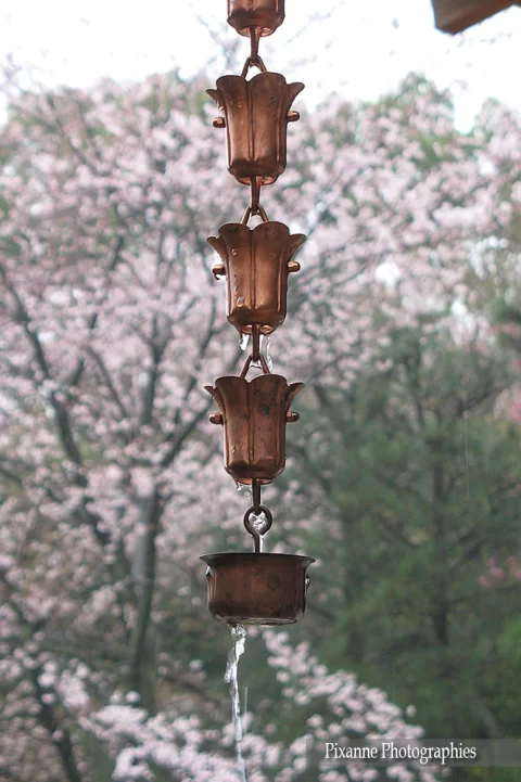 Asie, Japon, Kyoto, Ryoan Ji, Jardin Zen, Souvenirs de Voyages, Pixanne Photographies