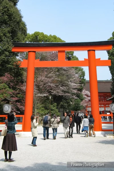 Asie, Japon, Kyoto, Shimogamo Shrine, Torii, Souvenirs de Voyages, Pixanne Photographies