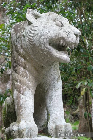 Asie, Japon, Mont Kurama, Kurama Dera, Nio-mon, Tigre, Souvenirs de Voyages, Pixanne Photographies