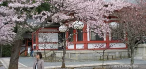 Asie, Japon, Mont Kurama, Souvenirs de Voyages, Pixanne Photographies