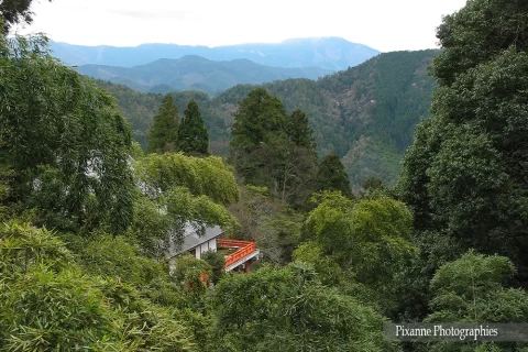 Asie, Japon, Mont Kurama, Kurama Dera, Souvenirs de Voyages, Pixanne Photographies