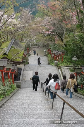 Asie, Japon, Mont Kurama, Kurama Dera, Souvenirs de Voyages, Pixanne Photographies