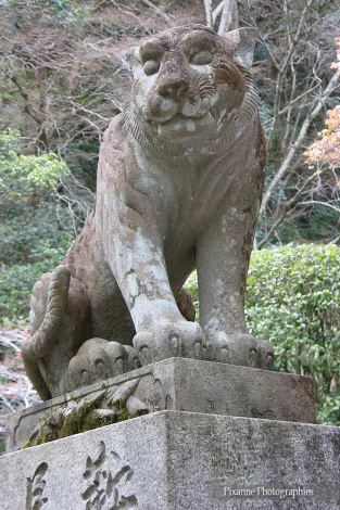 Asie, Japon, Mont Kurama, Kurama Dera, Nio-mon, Tigre, Souvenirs de Voyages, Pixanne Photographies