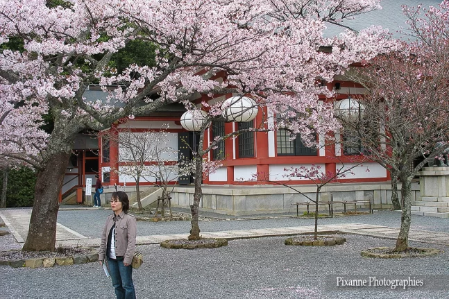 Asie, Japon, Mont Kurama, Kurama Dera, Hanami, Souvenir de Voyages, Pixanne Photographies