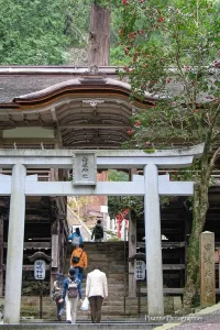 Asie, Japon, Mont Kurama, Yuki Shrine, Torii, Souvenirs de Voyages, Pixanne Photographies