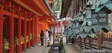 Asie, Japon, Nara, Kasuga Taisha, Mariage, Souvenirs de Voyages, Pixanne Photographies