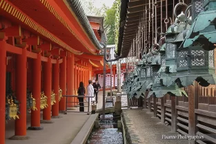 Asie, Japon, Nara, Kasuga Taisha, Lanterne, Mariage, Souvenirs de Voyages, Pixanne Photographies