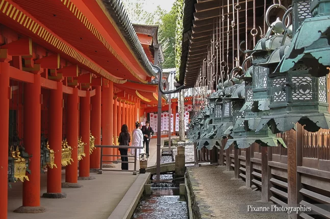 Asie, Japon, Nara, Kasuga Taisha, Lanterne, Mariage, Souvenirs de Voyages, Pixanne Photographies