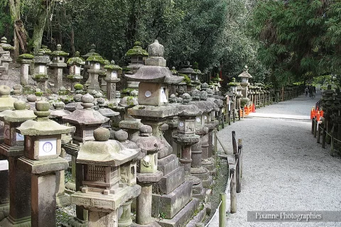 Asie, Japon, Nara, Kasuga Taisha, Lanternes, Souvenirs de Voyages, Pixanne Photographies