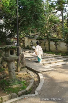 Asie, Japon, Nara, Kasuga Taisha, Moine Shinto, Souvenirs de Voyages, Pixanne Photographies