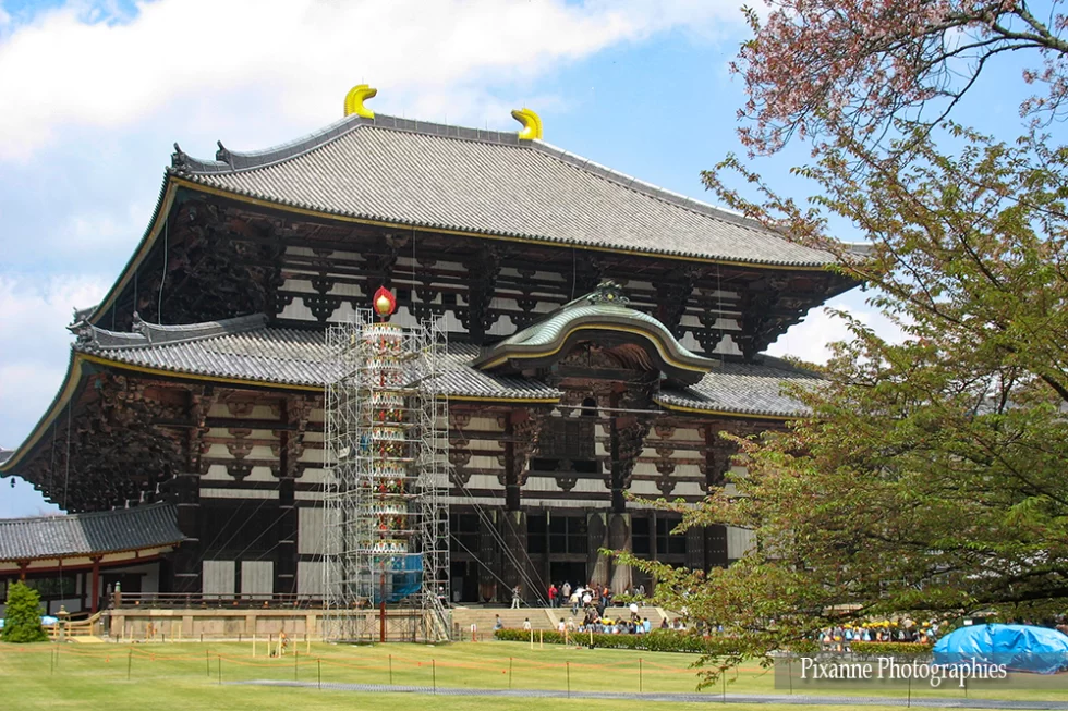 Asie, Japon, Nara, Todai Ji, Daibutsuden, Souvenirs de Voyages, Pixanne Photographies