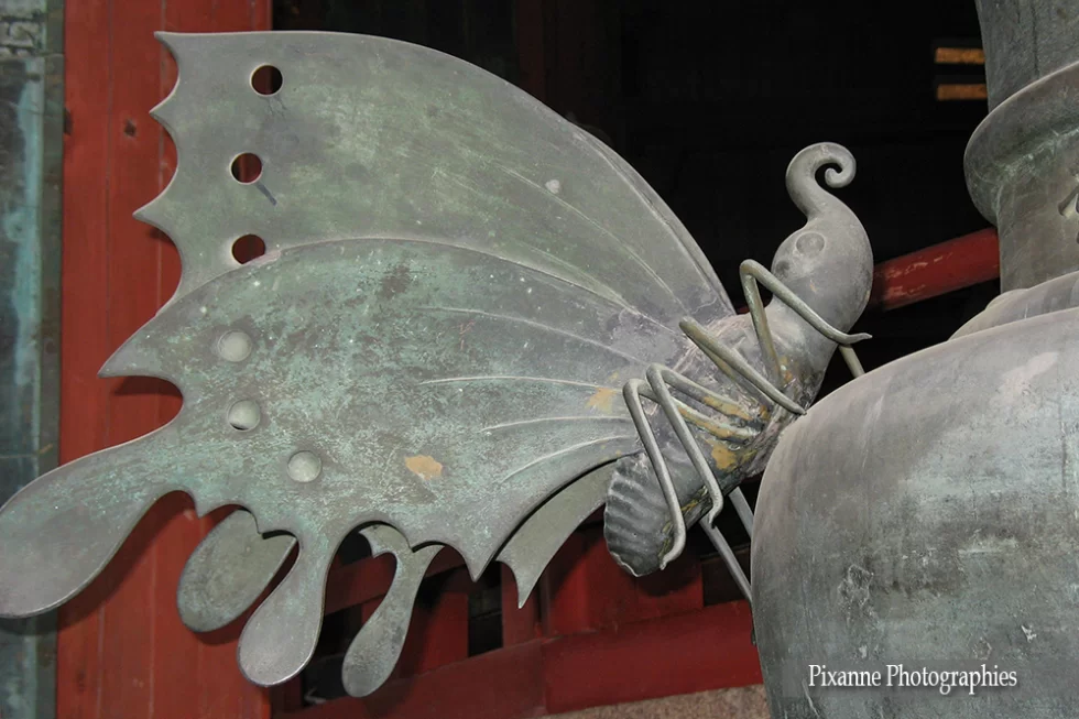 Asie, Japon, Nara, Todai Ji, Papillon, Souvenirs de Voyages, Pixanne Photographies