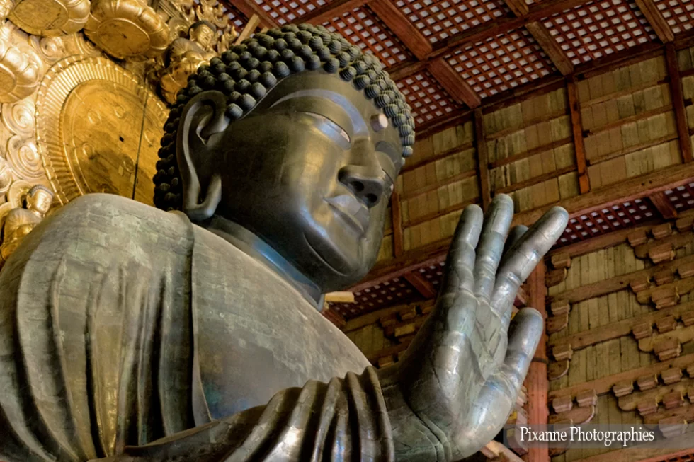 Asie, Japon, Nara, Todai Ji, Daibutsu, Bouddha Vairocana, Souvenirs de Voyages, Pixanne Photographies