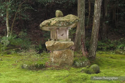 Asie, Japon, Ohara, Sanzen In, Jardin de Mousse, Lanterne de pierre, Souvenirs de Voyages, Pixanne Photographies