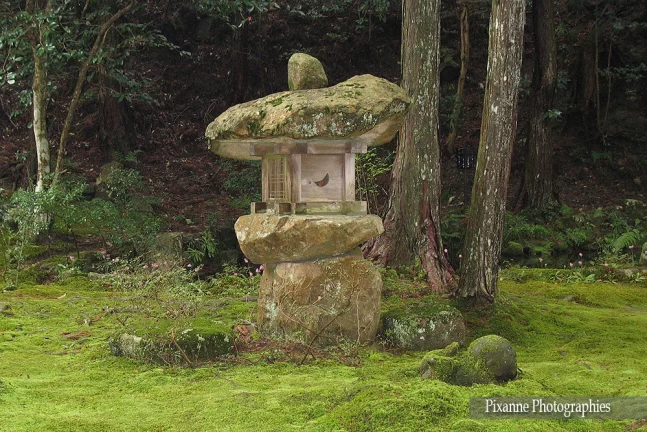 Asie, Japon, Ohara, Sanzen In, Jardin de Mousse, Lanterne de pierre, Souvenirs de Voyages, Pixanne Photographies