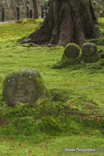 Asie, Japon, Ohara, Sanzen In, Jizo, Warabe Jizo, Souvenirs de Voyages, Pixanne Photographies