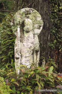 Asie, Japon, Ohara, Sanzen In, Jizo, Souvenirs de Voyages, Pixanne Photographies