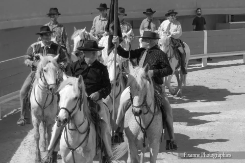 Europe, France, PACA, Bouches du Rhone, Saintes Maries de la Mer, Journée Baroncellienne, Procession des Saintes Maries à la mer, Souvenirs de Voyages, Pixanne Photographies