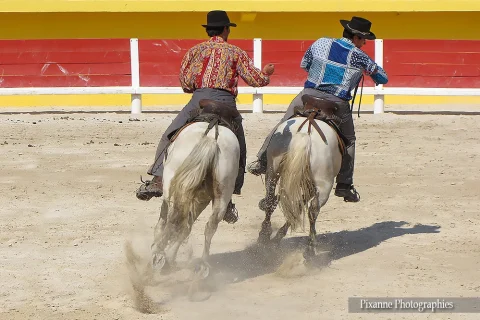 Europe, France, PACA, Saintes Maries de la Mer, Journée Baroncellienne, Arènes, Guardians, Tournoi des écharpes, Souvenirs de Voyages, Pixanne Photographies