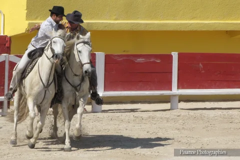 Europe, France, PACA, Saintes Maries de la Mer, Journée Baroncellienne, Arènes, Guardians, Tournoi des écharpes, Souvenirs de Voyages, Pixanne Photographies