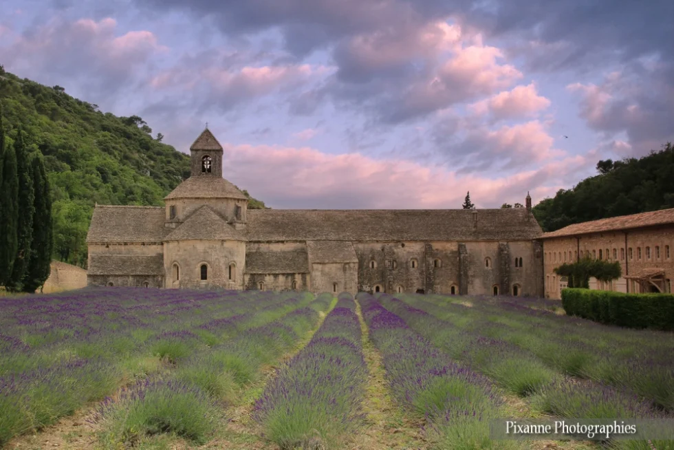 Europe, France, PACA, Vaucluse, Sénanque, Abbaye de Sénanque, Souvenirs de Voyages, Pixanne Photographies