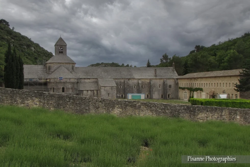 Europe, France, PACA, Vaucluse, Senanque, Abbaye de Senanque, Souvenirs de Voyages, Pixanne Photographies