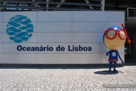 Europe, Portugal, Lisbonne, Parc des Nations, Aquarium, Oceanario, Souvenirs de Voyages, Pixanne Photographies
