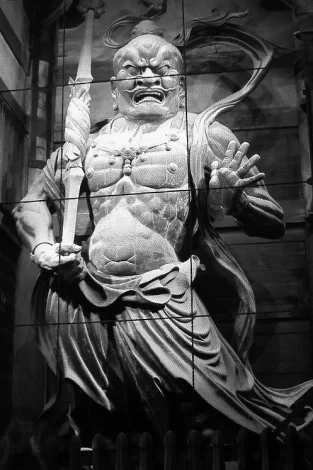 Asie, Japon, Nara, Todai Ji, Nandai-mon, Niô, Agyô, Souvenirs de Voyages, Pixanne Photographies
