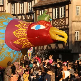 France, Alsace, Strasbourg, Carnaval, Pixanne Photographies